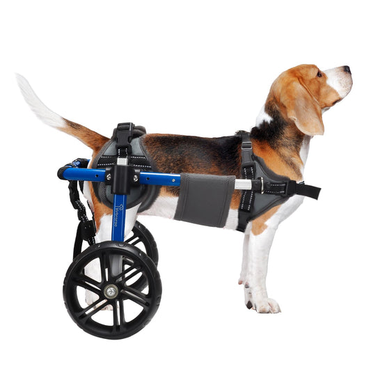 Virbraroo Dog Wheelchair for Back Legs with Upgraded All-Terrain Tires & Durable BearingsAdjustable Dog Wheelchair for 11.8"-17.7" Lenght22-35 lbs Disabled or Injured Small Dogs