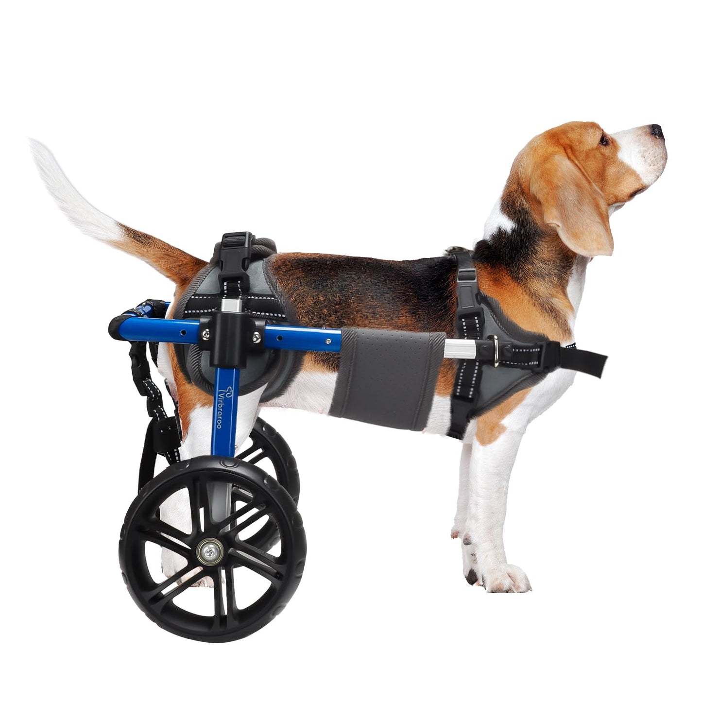 Virbraroo Dog Wheelchair for Back Legs with Upgraded All-Terrain Tires & Durable BearingsAdjustable Dog Wheelchair for 11.8"-17.7" Lenght22-35 lbs Disabled or Injured Small Dogs